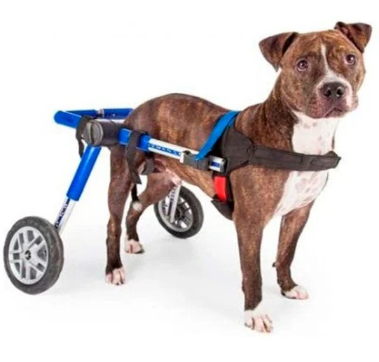 Silla de Ruedas de Perros Adaptables | Auxiliar y Apoyo Total