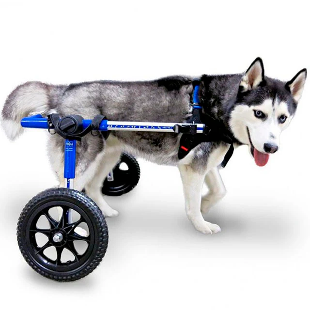Silla de Ruedas de Perros Adaptables | Auxiliar y Apoyo Total - Image 5