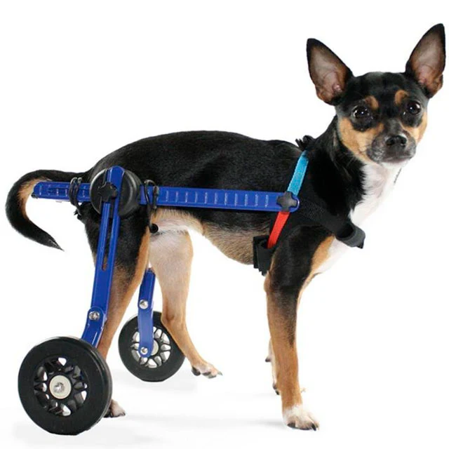 Silla de Ruedas de Perros Adaptables | Auxiliar y Apoyo Total - Image 6