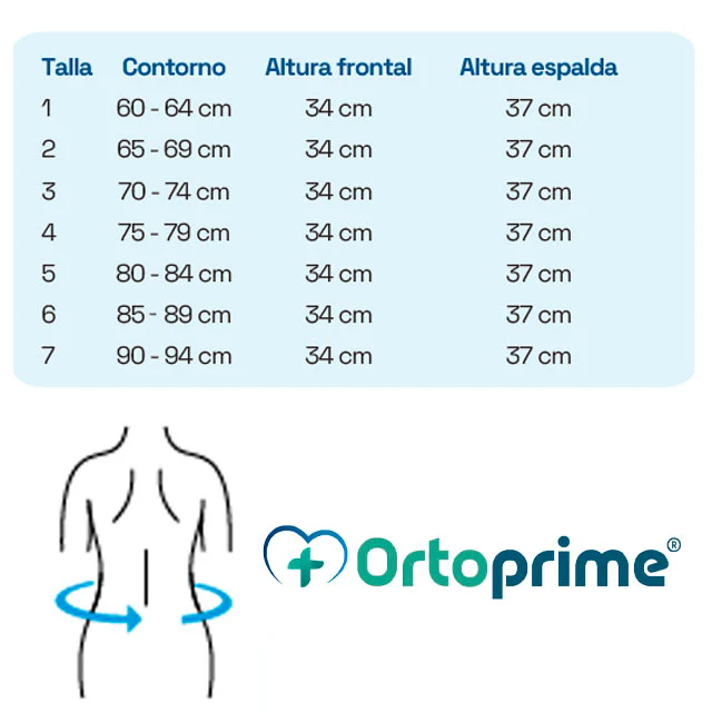 Slip para Contención de Hernia Inguinal | Modelo Femenino - Image 4