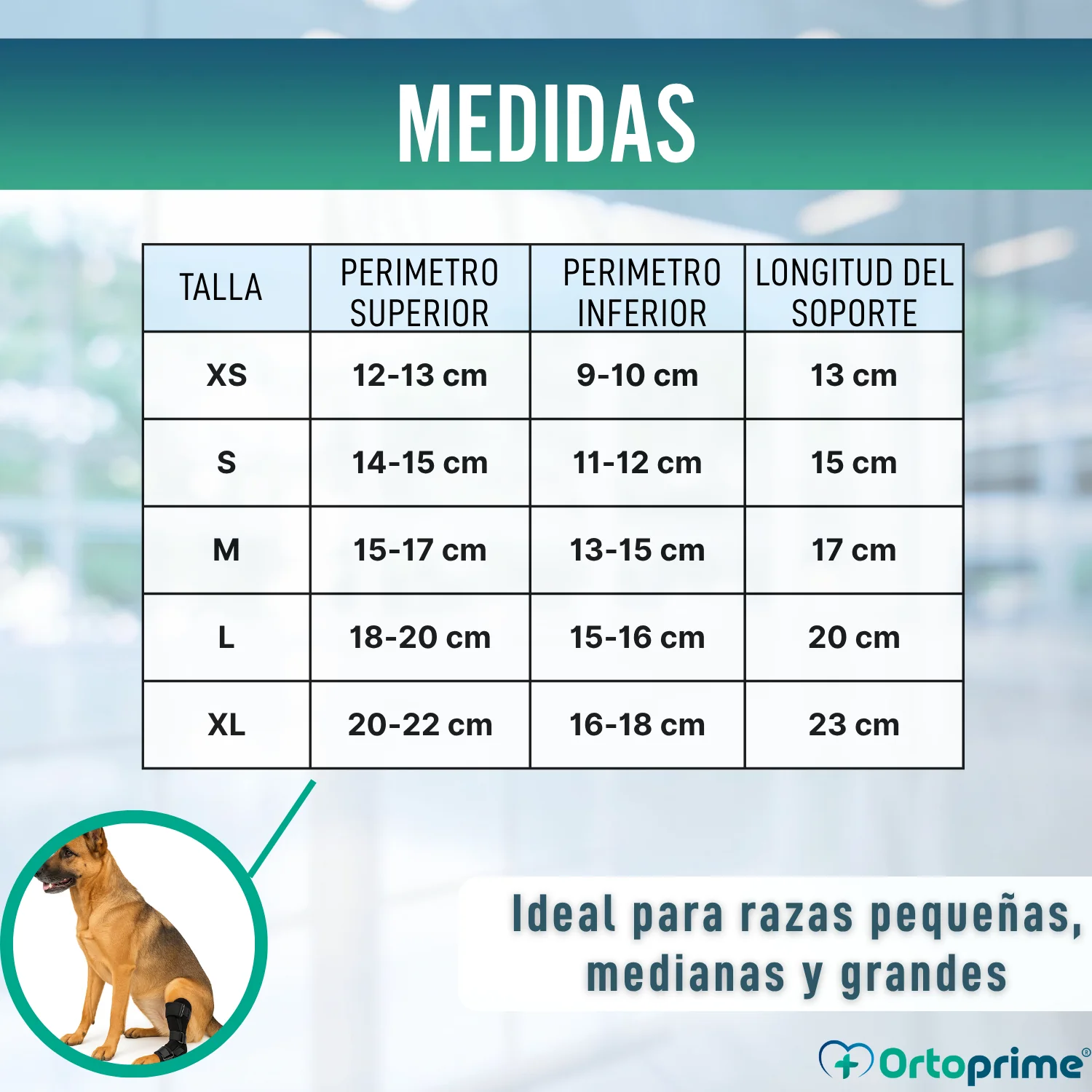 Soporte de Tarso Canino con Férulas Extraíbles | 2 Unidades - Image 2