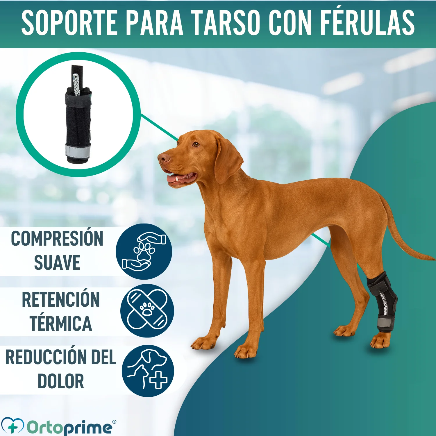 Soporte de Tarso Canino con Férulas Extraíbles | 2 Unidades - Image 3