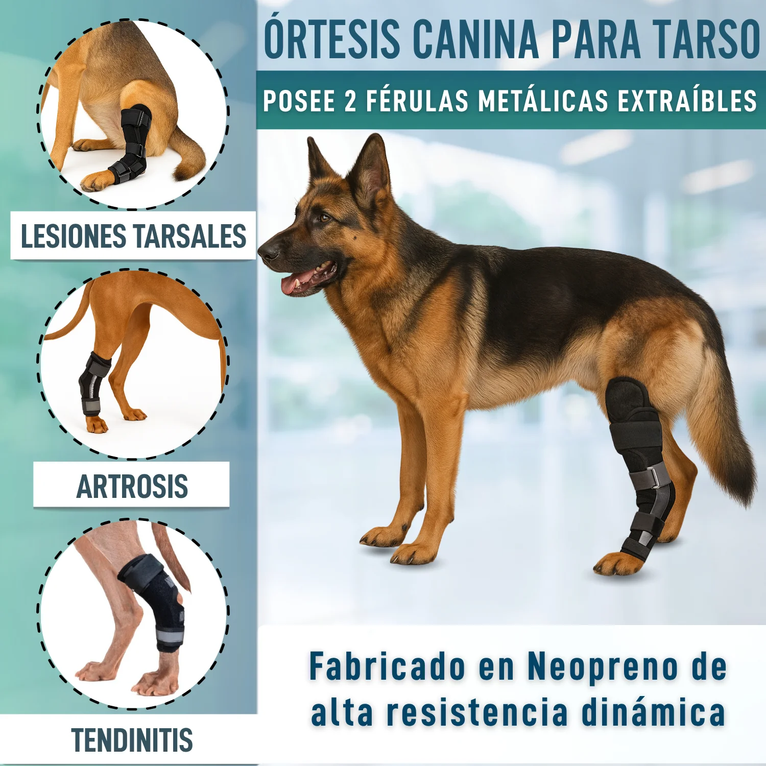 Soporte de Tarso Canino con Férulas Extraíbles | 2 Unidades - Image 4
