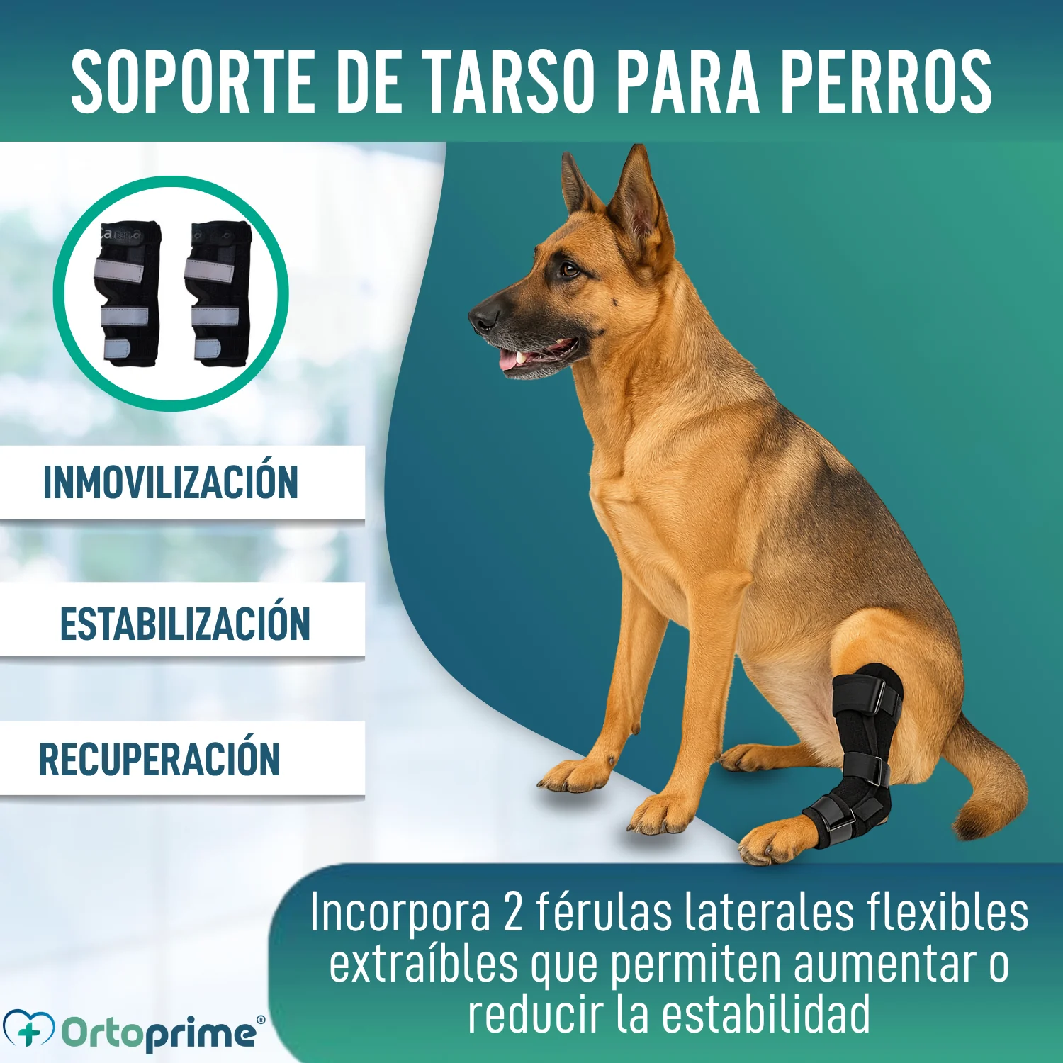 Soporte de Tarso Canino con Férulas Extraíbles | 2 Unidades - Image 6