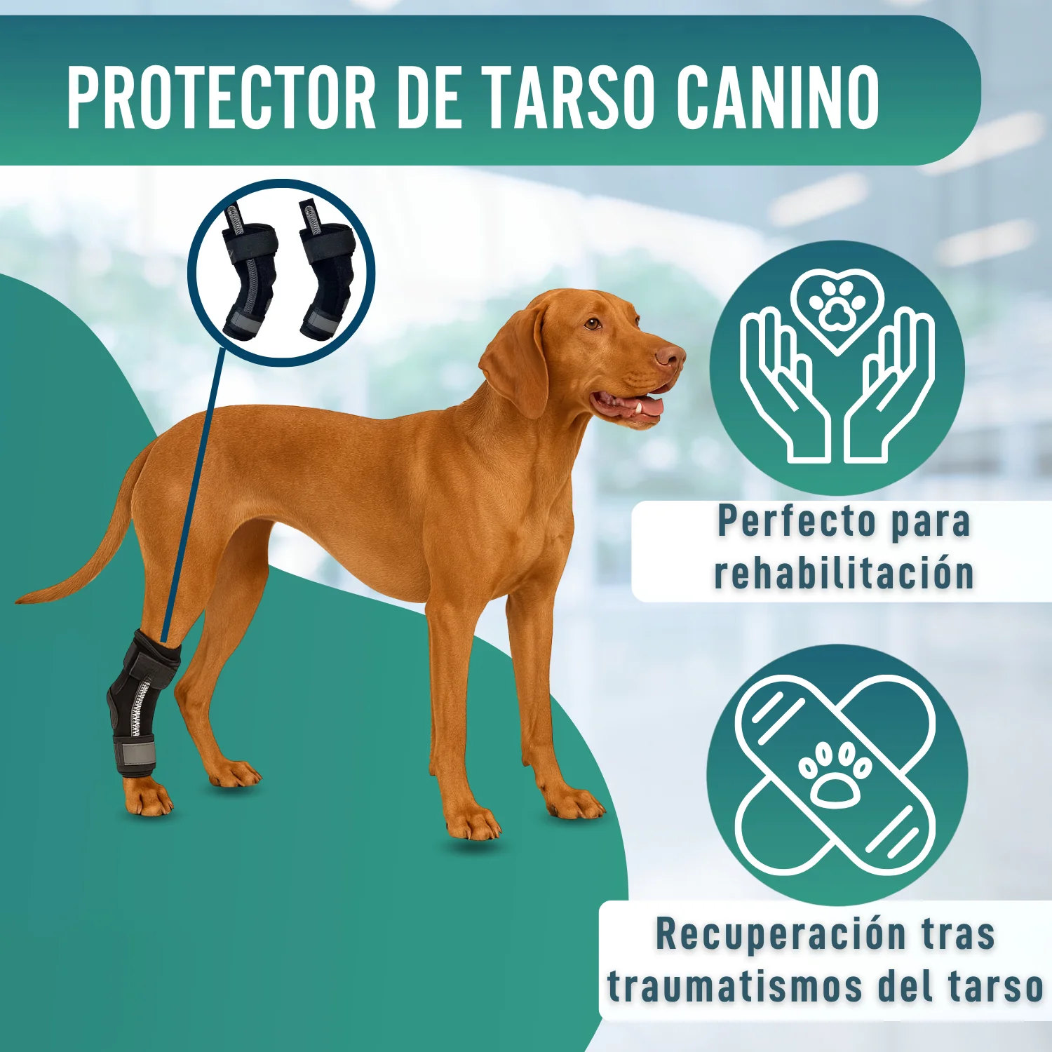 Soporte de Tarso Canino con Férulas Extraíbles | 2 Unidades - Image 7