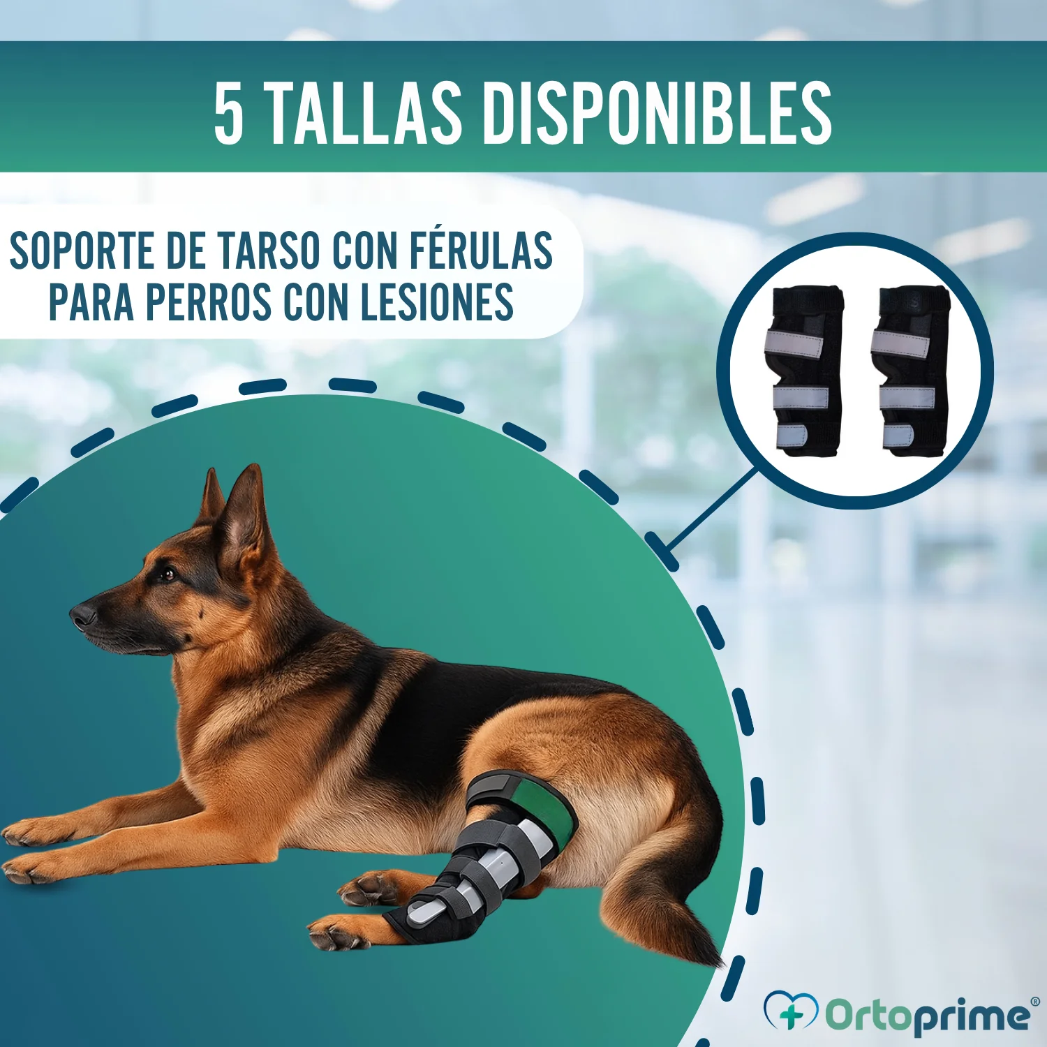 Soporte de Tarso Canino con Férulas Extraíbles | 2 Unidades - Image 8