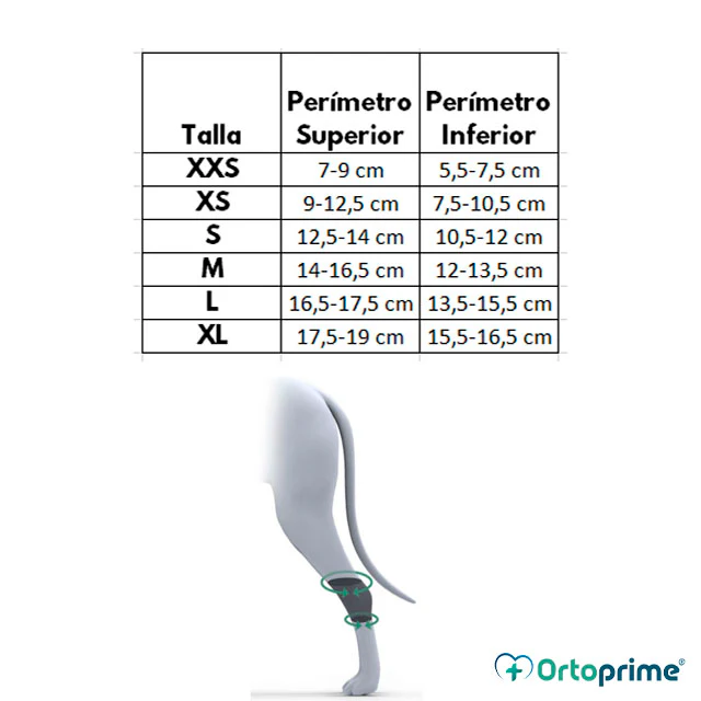 Soporte de Tarso para Perros Adaptable | Por Tallas - Image 5