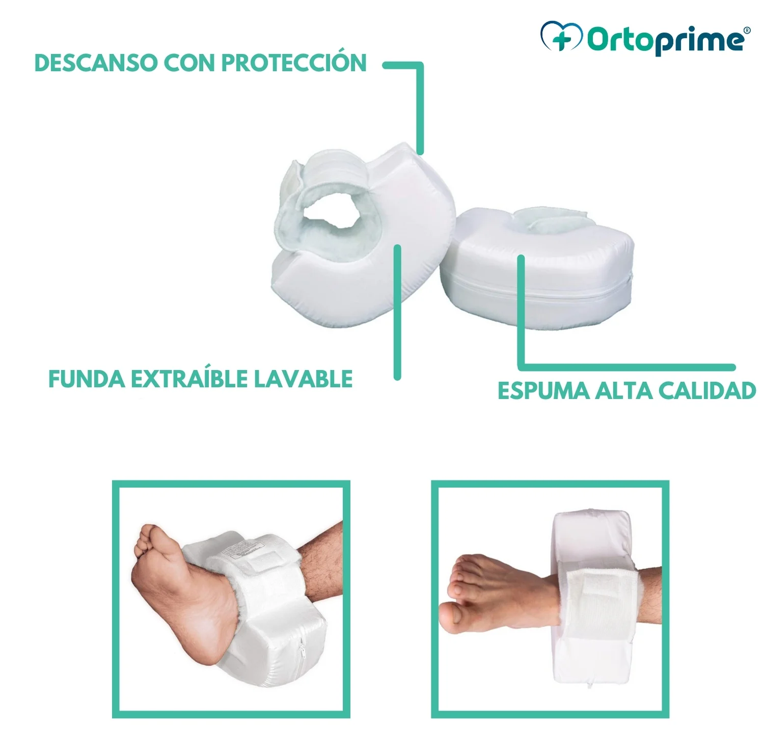Talonera Antiescaras Curva - Image 7